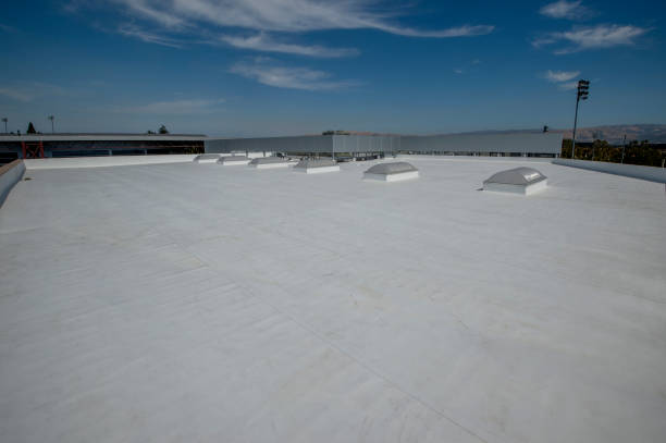 Fast & Reliable Emergency Roof Repairs in Mobile, AL